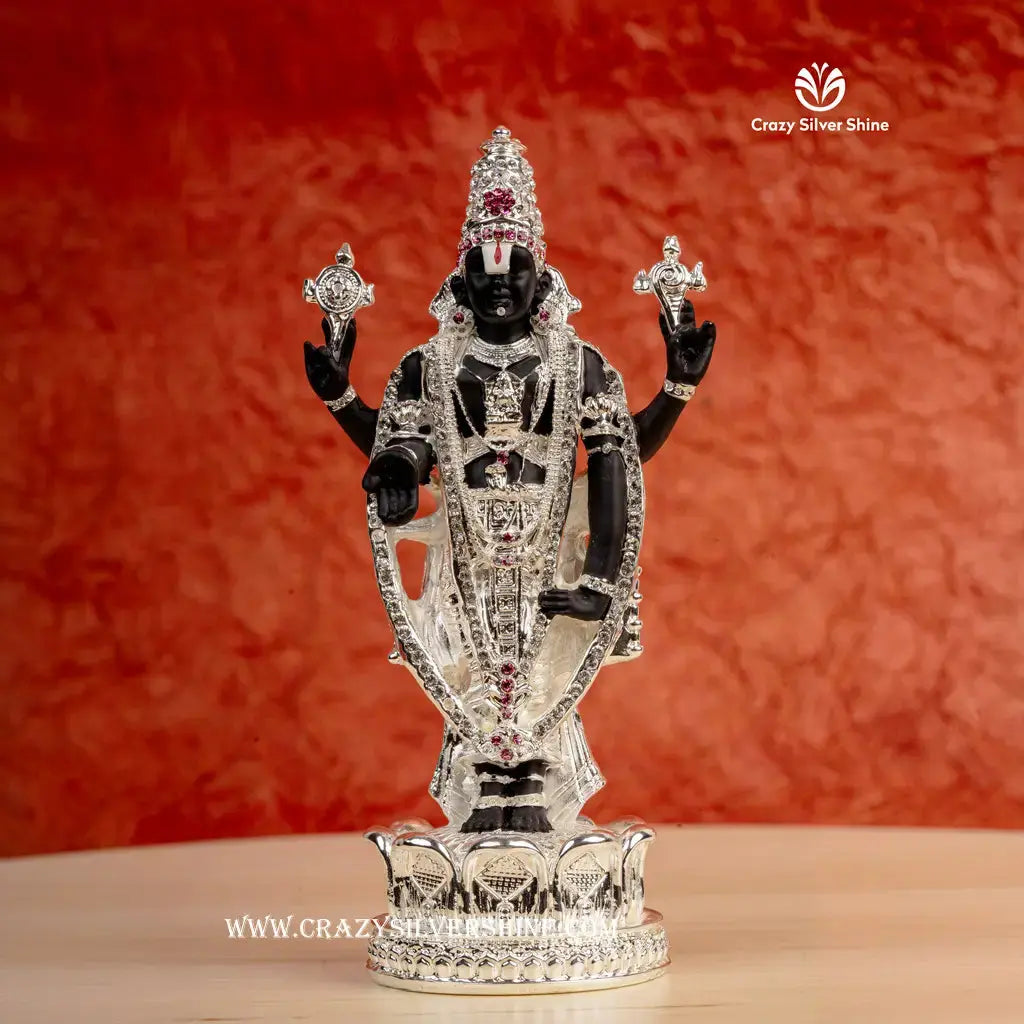 Silver Plated Balaji 6 Inches Crazy Silver Shine